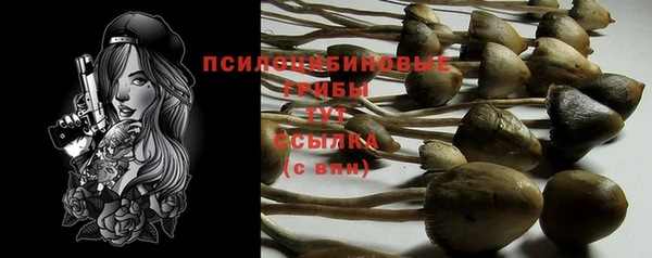 твердый Волоколамск