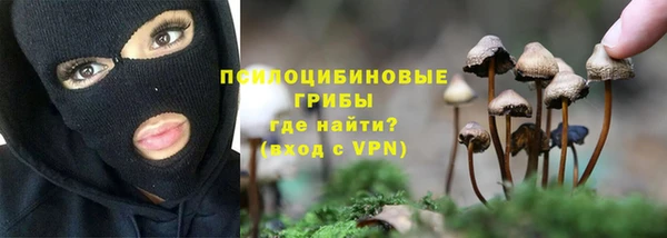 твердый Волоколамск