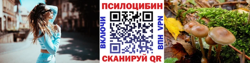Псилоцибиновые грибы Cubensis  Купить где  Цивильск 
