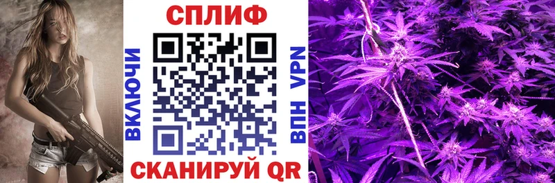 Купить закладки  Цивильск  Канабис индика 